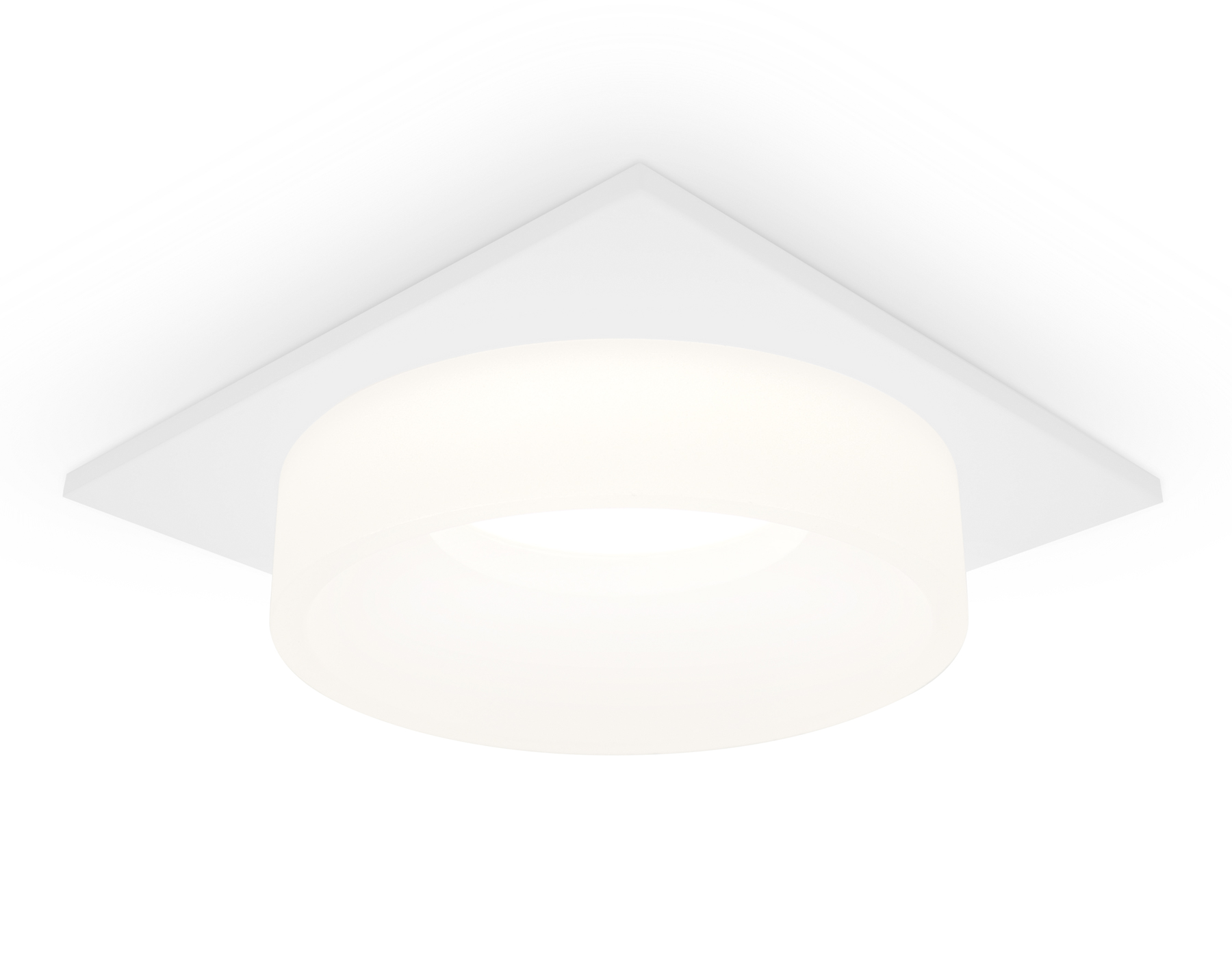 Встраиваемый точечный светильник с акрилом TN1314 SWH/FR белый песок/белый матовый