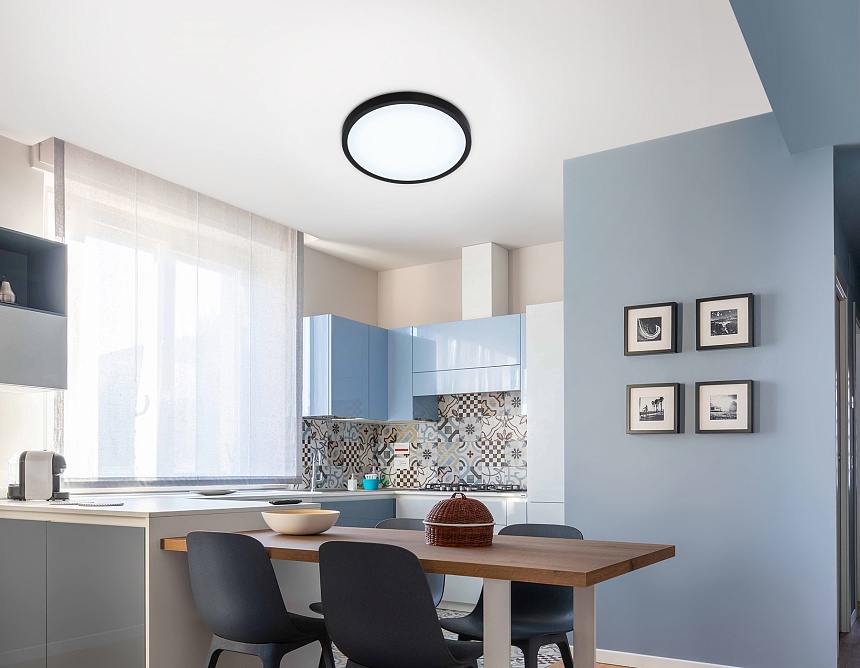 FZ1953 BK черный IP54 20W 5000K D270*15 (Без ПДУ)