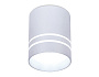 TN241 SL/S серебро/песок LED 4200K 12W D80*100