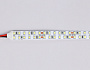 GS3703 2835 240Led /24W m/ 24V IP20 6500K/ 5000*14*1.2mm (2 конт.)