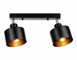 TR8142/2 BK черный E27*2 max 40W 340*120*180