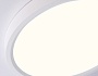 FZ1901 WH белый IP54 13W 3000K-6500K CCT-переключатель D230*25 (Без ПДУ)
