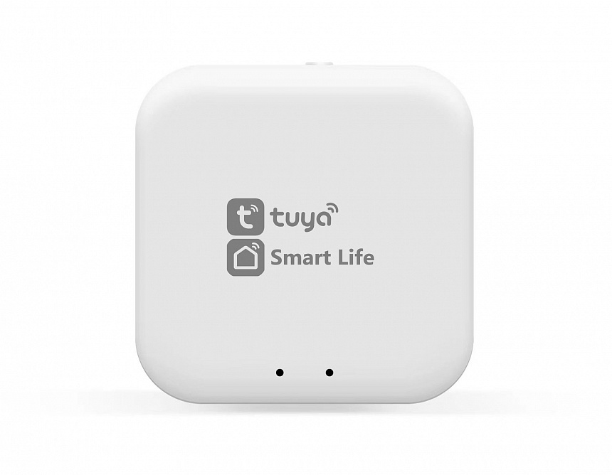 GL1920 WH белый Wi-Fi TUYA/Smart Life