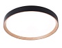 FZ1326 BK/LWD черный/светлое дерево IP20 60W 3000-6400K D490*80 (ПДУ ИК)