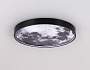 FW11110 BK черный 15W LED 3000-6400K D240*38