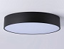 FV5533 BK черный LED 60W 3000K D500*58 (Без ПДУ)
