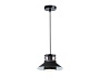 TR8172 BK черный E27 max 40W D203*940