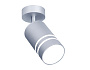 TN246 SL/S серебро/песок LED 4200K 5W D60*100