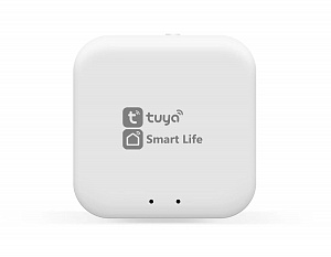 GL1920 WH белый Wi-Fi TUYA/Smart Life
