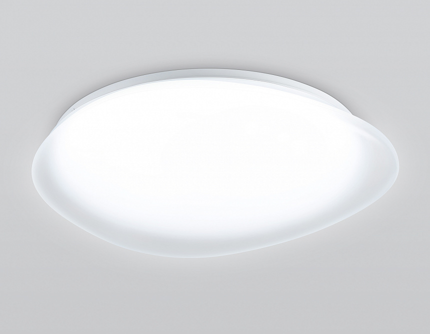 FZ1605 FR матовый IP20 60W 5000K 510*100 (Без ПДУ)