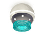 XS1104020 PSL/BL серебро полированное/голубой MR16 GU5.3 LED 3W 4200K (C1104, N7194)
