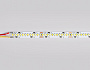 GS4151 2835 240Led/ 18W m/ 24V IP20 CCT 3000-6500K/5000*10*1.2mm (3 конт.)