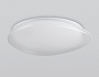FZ1605 FR матовый IP20 60W 5000K 510*100 (Без ПДУ)