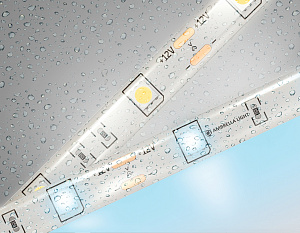 GS1903 5050 30Led/ 7.2W m/ 12V IP65 6500K/ 5000*10*2.87mm (2 конт.)