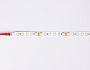 GS3103 2835 120Led/ 10W m/ 24V IP20 6500K/ 5000*8*1.2mm (2 конт.)