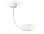 FW2469 WH белый GU10 max 12W D55*L100*H300