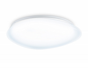 FZ1605 FR матовый IP20 60W 5000K 510*100 (Без ПДУ)
