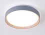 FZ1320 GR/LWD серый/светлое дерево IP20 41W 3000-6400K D390*70 (ПДУ ИК)