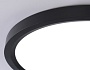FZ1908 BK черный IP54 35W 3000K-6500K CCT-переключатель D450*25 (Без ПДУ)