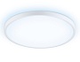 FZ3005 WH белый IP44 33W+10W 6400+6400К D370*40 (Без ПДУ)