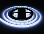 GS1203 2835 120Led/ 9.6W m/ 12V IP65 6500K/ 5000*8*2.27mm (2 конт.)