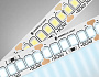 GS3503 2835 240Led /22W m/ 24V IP20 6500K/ 5000*10*1.2mm (2 конт.)