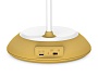 DE602 YL/WH желтый/белый LED 2800-6500K 5W