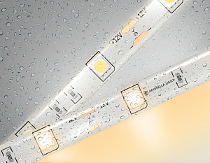 GS1901 5050 30Led/ 7.2W m/ 12V IP65 3000K/ 5000*10*2.87mm (2 конт.)