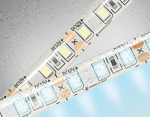 GS1203 2835 120Led/ 9.6W m/ 12V IP65 6500K/ 5000*8*2.27mm (2 конт.)
