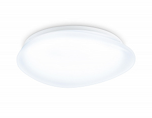 FZ1601 FR матовый IP20 40W 5000K 410*100 (Без ПДУ)