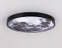 FW11112 BK черный 25W LED 3000-6400K D400*38