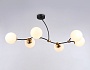 TR2555/6 BK/SB черный/бронза E27/6 max 60W 1160*600*450
