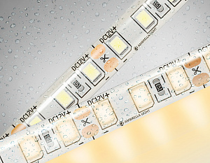 GS1201 2835 120Led/ 9.6W m/ 12V IP65 3000K/ 5000*8*2.27mm (2 конт.)