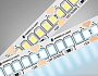 GS1403 2835 240Led/ 17W m/ 12V IP20 6500K/ 5000*10*1.2mm (2 конт.)
