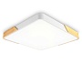 FZ1313 WH/LW белый/светлое дерево 45W 5000K 500*500*50 (без ПДУ)