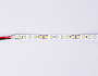 GS3101 2835 120Led/ 10W m/ 24V IP20 3000K/ 5000*8*1.2mm (2 конт.)
