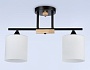 TR9543/2 BK/FR черный/белый матовый E27/2 max 40W 435*120*280