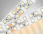 GS3701 2835 240Led /24W m/ 24V IP20 3000K/ 5000*14*1.2mm (2 конт.)