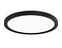 FZ1908 BK черный IP54 35W 3000K-6500K CCT-переключатель D450*25 (Без ПДУ)