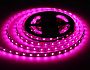 GS4403 5050 60Led/ 10W m/ 24V IP20 RGBW+6500K/ 5000*10*1.87mm (5 конт.)