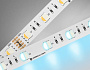 GS4403 5050 60Led/ 10W m/ 24V IP20 RGBW+6500K/ 5000*10*1.87mm (5 конт.)