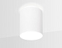 TN260 WH/S белый/песок LED 4200K 7W D80*100