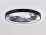 FW11112 BK черный 25W LED 3000-6400K D400*38