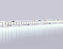 GS1403 2835 240Led/ 17W m/ 12V IP20 6500K/ 5000*10*1.2mm (2 конт.)