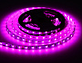 GS4401 5050 60Led /10W m/ 24V IP20 RGBW+3000K/ 5000*10*1.87mm (5 конт.)