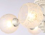 TR3062/5 WH/SL/FR белый/серебро/белый матовый E27/5 max 40W D615*245