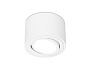 TN222 WH/S белый/песок GU5.3 D80*50