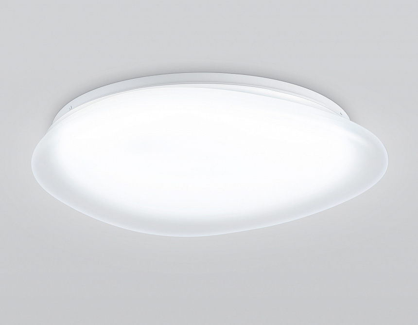 FZ1605 FR матовый IP20 60W 5000K 510*100 (Без ПДУ)